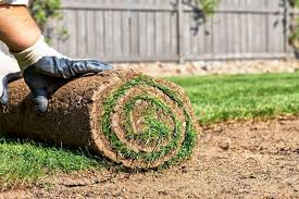 Grass Replacement Project